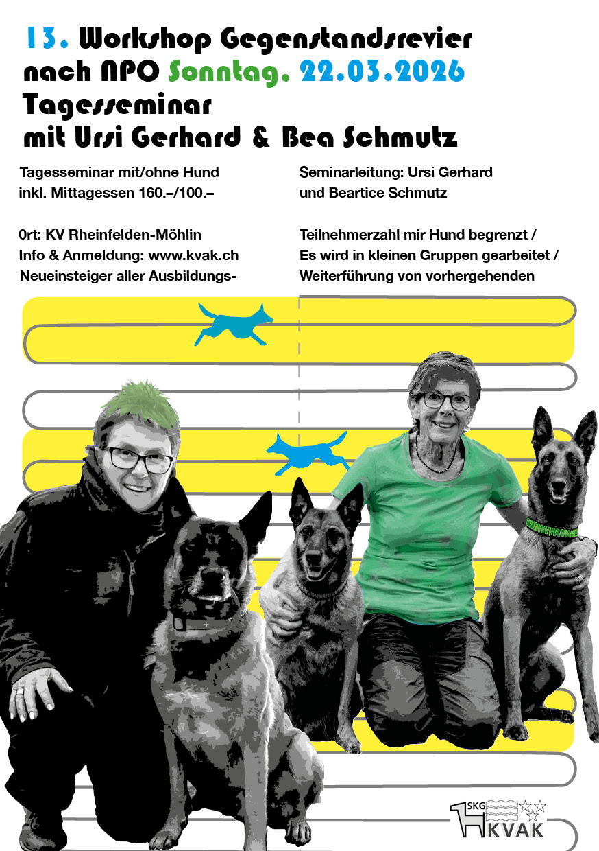 13. Workshop mit Ursi Gerhard & Bea Schmutz: Gegenstandsrevier nach NPO (Wiederholung)